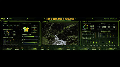 云南省森林管理可视化大屏