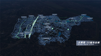 太师青-湖北省武汉市江汉区3D城市白模