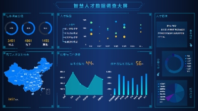 智慧人才数据调查大屏